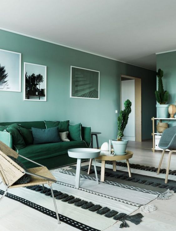 A-green-monochromatic-living-room-with-light-green-walls-an-emerald-sofa-green-pots-with-cacti-and-artworks