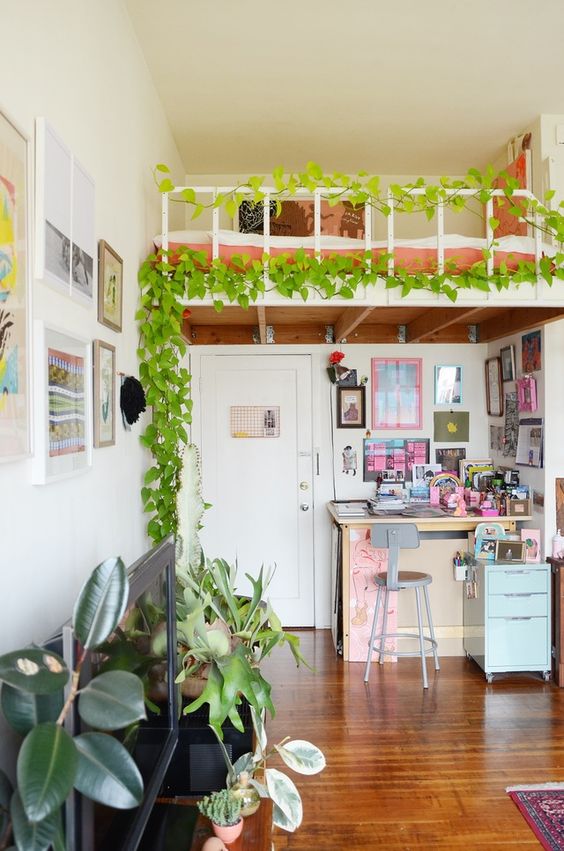 A-loft-bedroom-accented-with-an-indoor-vine-is-a-lovely-idea-to-separate-this-space-even-more