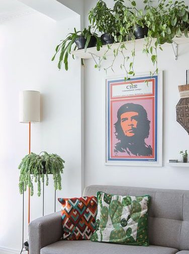A-modern-living-room-with-climbing-plants-hanging-from-above-and-a-small-one-next-to-the-sofa