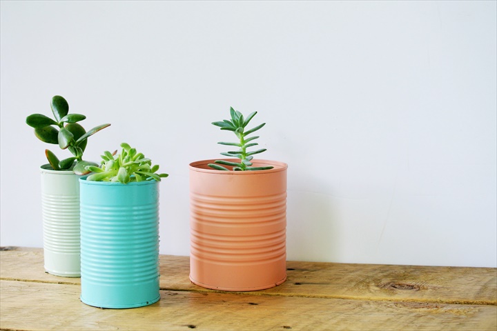 Colored-tin-can-planters