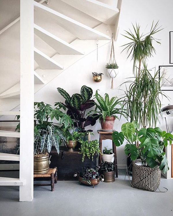 Indoor-plant-ideas-under-the-stairs