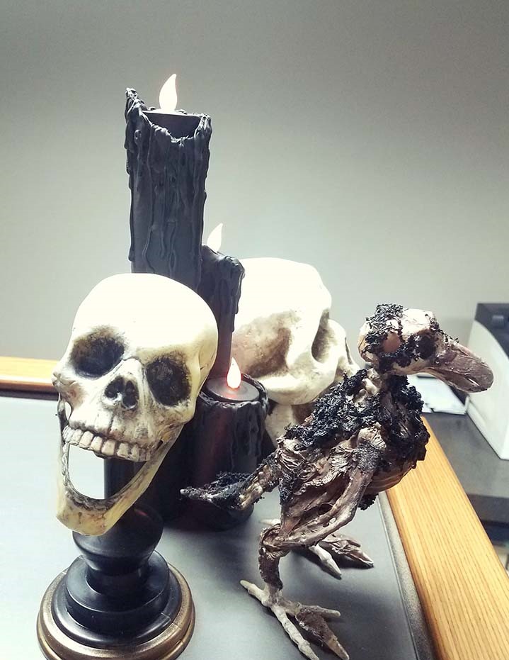 Pool-noodle-halloween-candle-holder-bird-and-skull