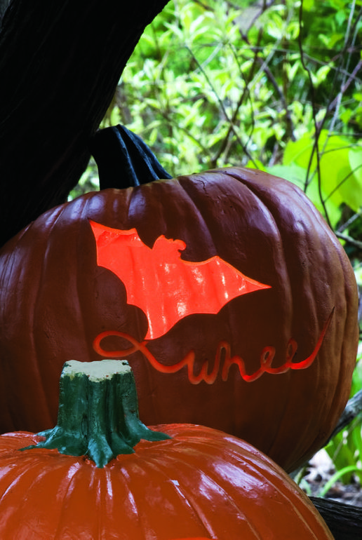 Pumpkin-carving-ideas-fly-a-kite-1569878608