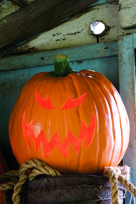Pumpkin-carving-ideas-hobogoblin-1569877011