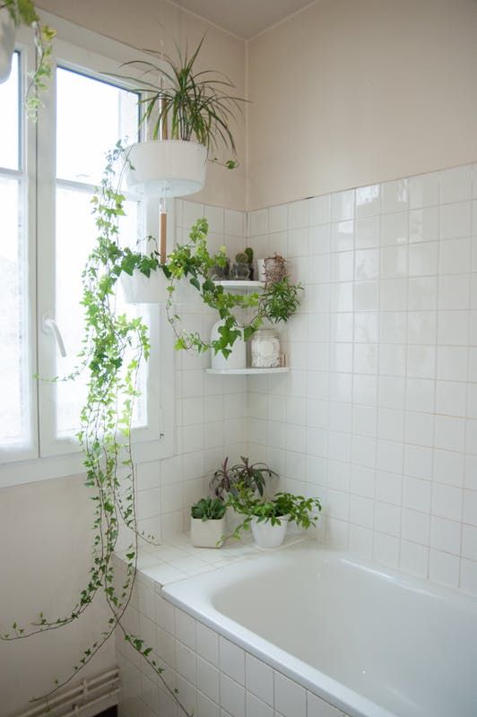 Some-wall-shelves-and-suspended-planters-with-greenery-make-the-neutral-bathroom-feel-and-look-very-fresh