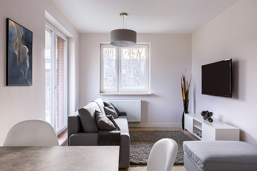 Living room with table, couch and television
