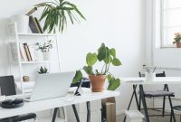 Add plants on the desk