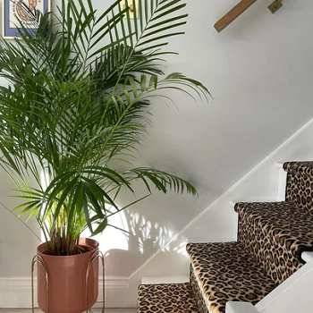 Animal prints Spectacular Pattern Trends That Will Be Popular in 2022