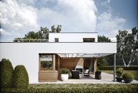White and wood exterior design