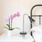 Istockphoto-1164825269-612x612