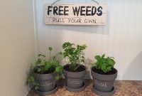 Herbs indoor garden