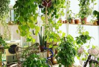 Plant room with several plants