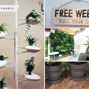 Recommended common types of indoor gardens for beginners fi (1)