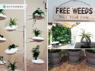 Recommended common types of indoor gardens for beginners fi (1)