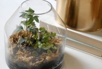 Terrarium garden indoor