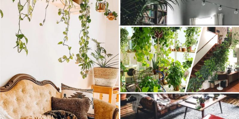 Urban jungle style ideas for a comfortable natural oasis home decoration fi