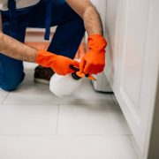 Istockphoto-1313170253-612x612
