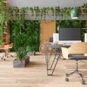 Istockphoto-1317893331-612x612