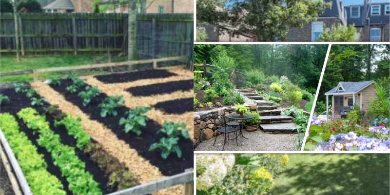 Beautiful functional backyard landscaping ideas to enjoy afternoon strolls2