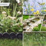 Beautiful lawn edging ideas to frame your garden2