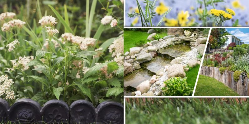 Beautiful lawn edging ideas to frame your garden2
