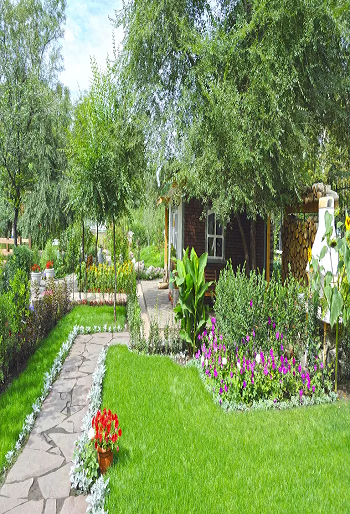 Evergreen plants idea Beautiful Lawn Edging Ideas To Frame Your Garden