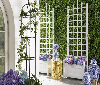 Pretty mix-match trellis types Inviting Welcoming Front Yard Landscaping Ideas You Can Have On A Budget