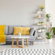 Istockphoto-1007084506-612x612