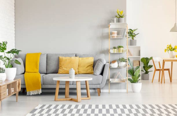 Istockphoto-1007084506-612x612