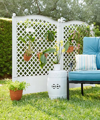 Display living trellis How To Present Affordable Fence Ideas For Impressive Boundaries