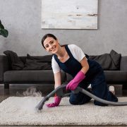 Intro-cleaners