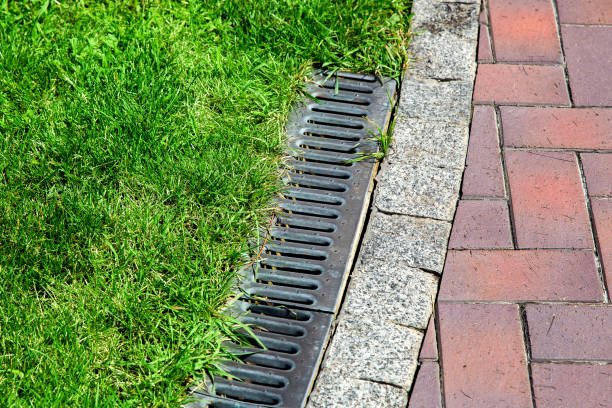 What to Do When Lawn Drainage Becomes a Challenge - Matchness.com