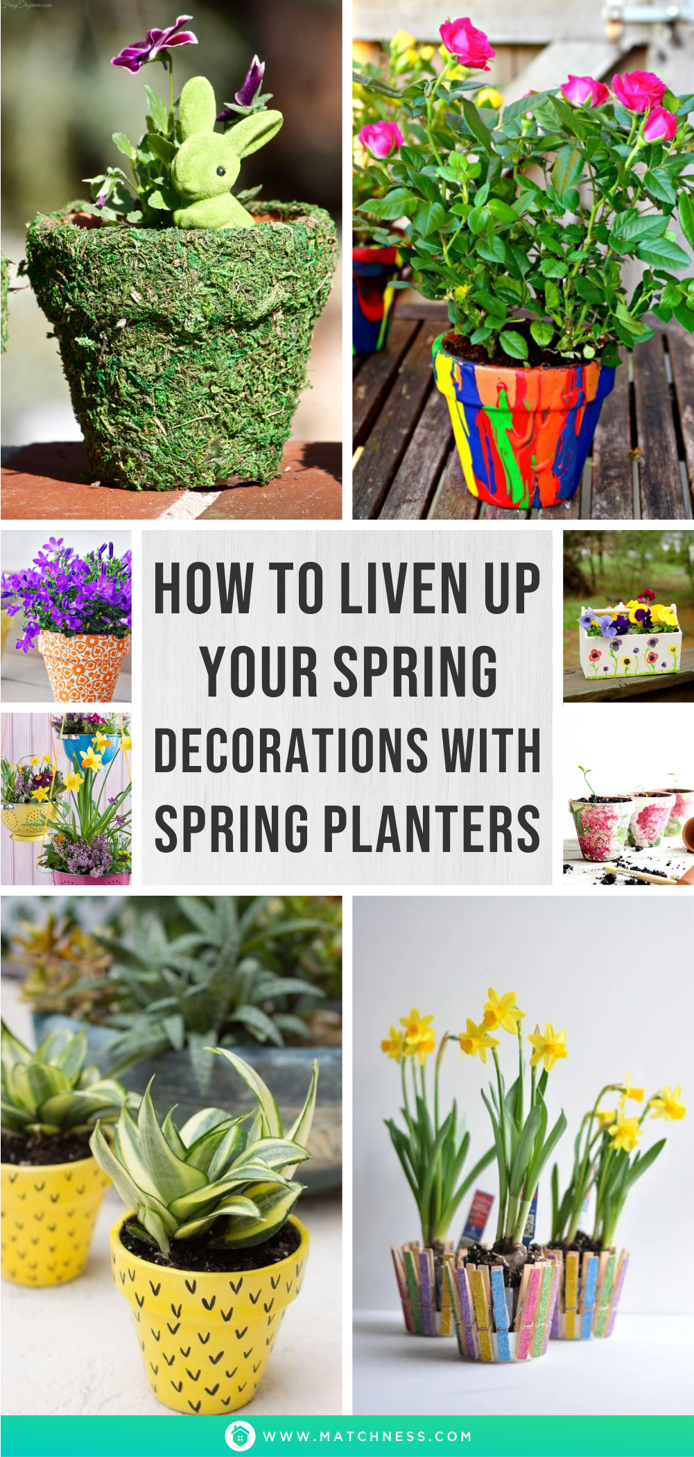 How to liven up your spring decorations with spring planters1