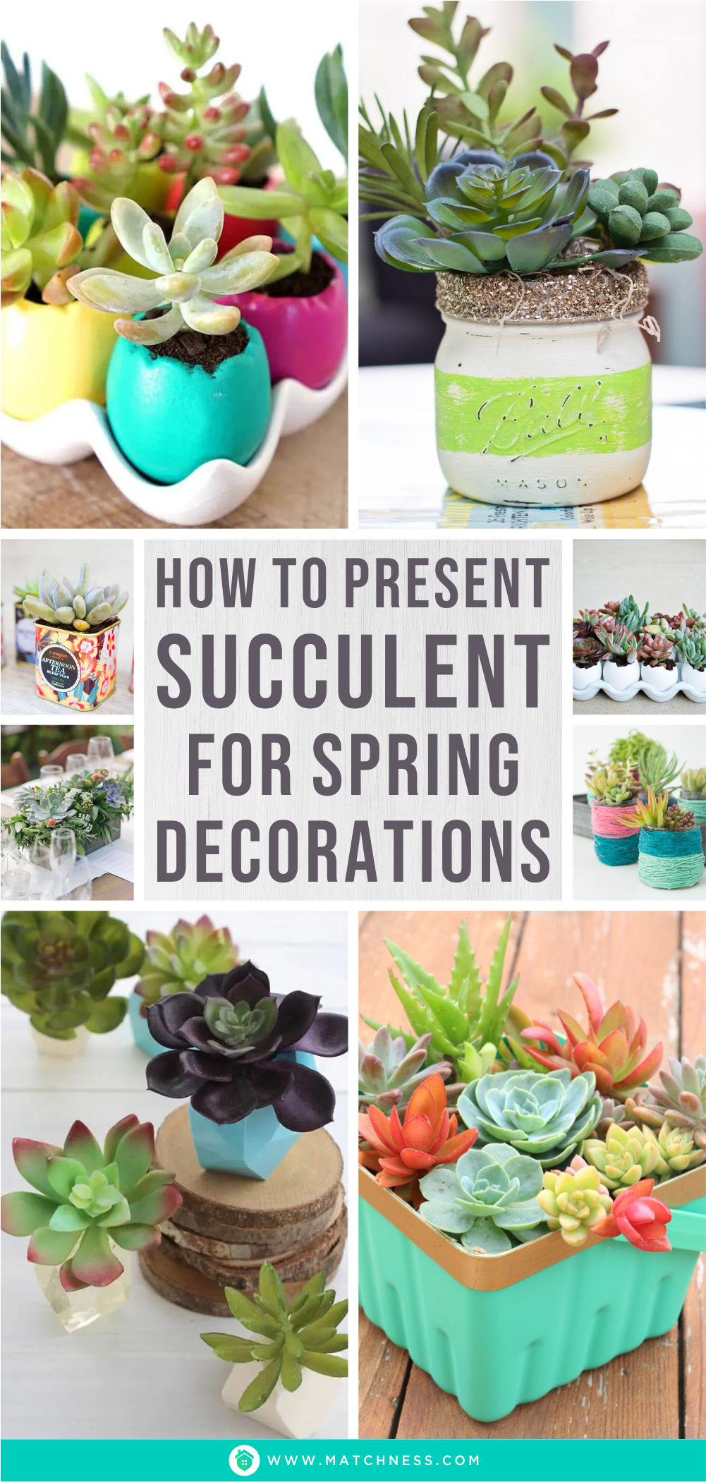 How to present succulent for spring decorations1
