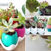 How to present succulent for spring decorations2