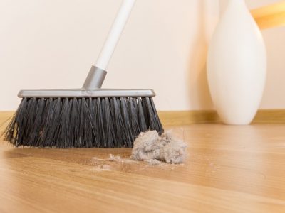 Broom-6786528_960_720