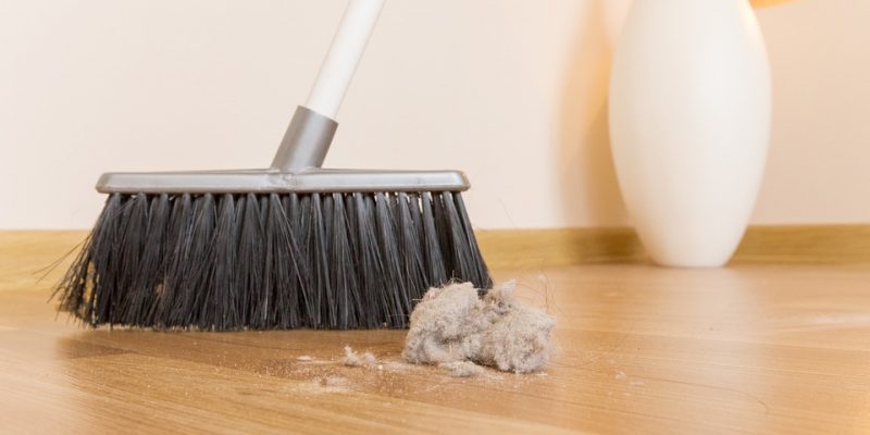 Broom-6786528_960_720