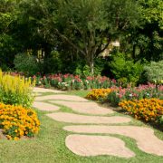 Path way in garden in the flowers garden.