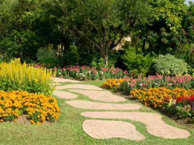 Path way in garden in the flowers garden.