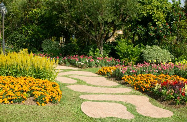 Path way in garden in the flowers garden.