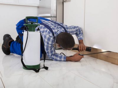 Istockphoto-909317216-612x612