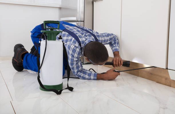 Istockphoto-909317216-612x612