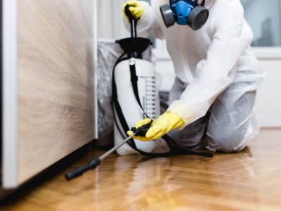 Woman exterminator in work wear spraying pesticide or insecticide with sprayer