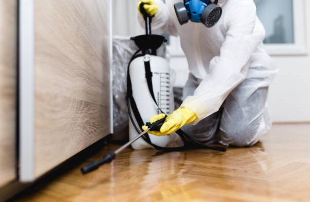 Woman exterminator in work wear spraying pesticide or insecticide with sprayer