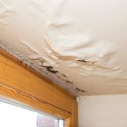 Water damaged ceiling next to window