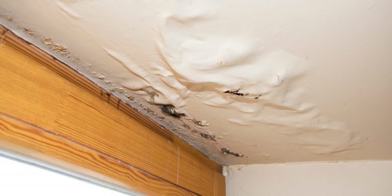 Water damaged ceiling next to window