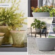 Budget friendly outdoor planters as close friends to summer style2