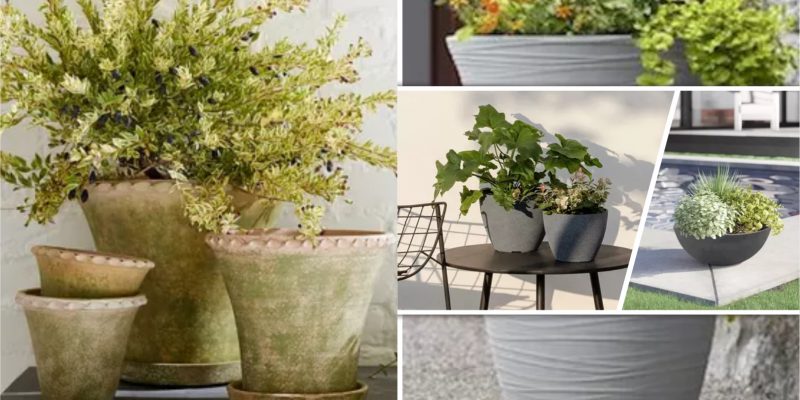 Budget friendly outdoor planters as close friends to summer style2