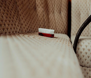 Regular dusting to keep the cleanness and tidiness Quickest Ways To Clean Your Sofa At Home For Renew And Refresh Look