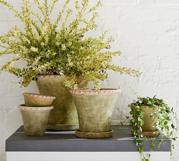 Scalloped edge planters Budget Friendly Outdoor Planters As Close Friends To Summer Style